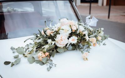 Flowers4Event, aperçu 1