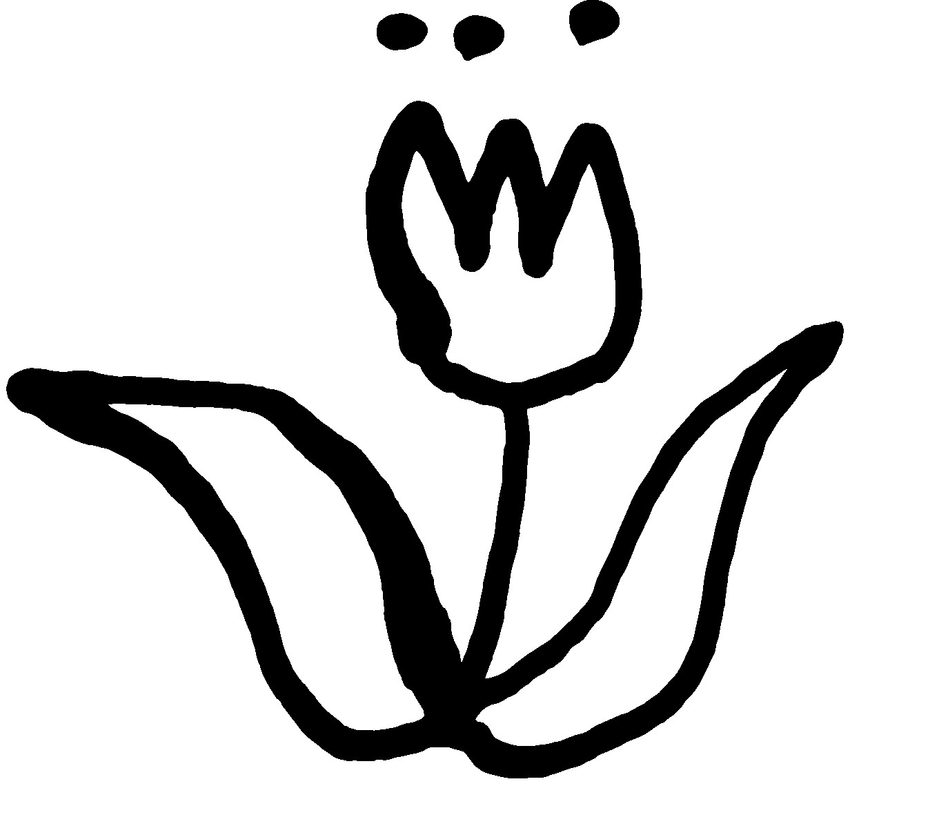 Présentation de Miö flora - design floral
