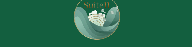 Présentation de Suite 11 - Spa privatif Tourcoing